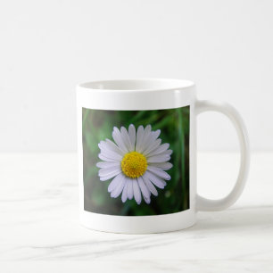 Taza De Café Daisy amarillo-blanco brillante