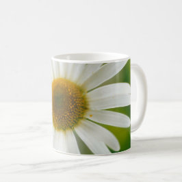 Taza De Café Daisy de Oxeye blanco - Leucanthemum vulgare
