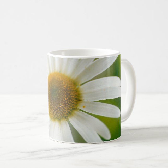 Taza De Café Daisy de Oxeye blanco - Leucanthemum vulgare (Anverso derecho)