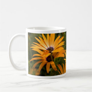 Taza De Café Daisy Mug