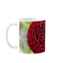 Dalia