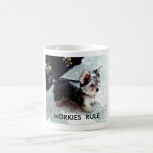 TAZA DE CAFÉ DALILA, REGLA DE MORKIES