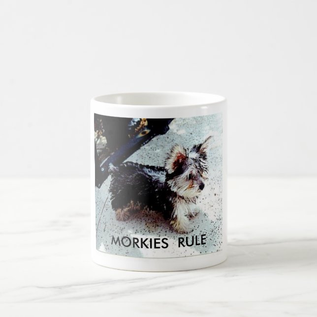 TAZA DE CAFÉ DALILA, REGLA DE MORKIES (Centro)