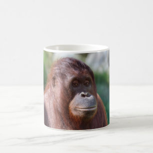 Taza De Café Dama de Orangutan