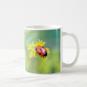 Taza De Café dama encima