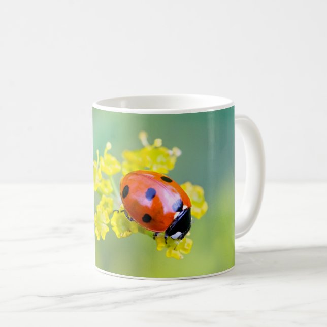 Taza De Café dama encima (Anverso derecho)
