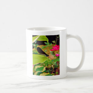 Taza De Café Damselfly y Rosa