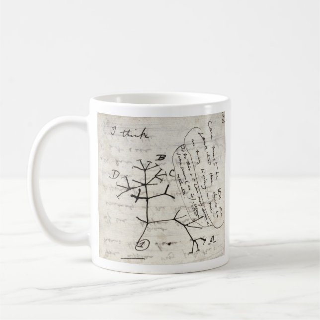 Taza De Café darwin's notebook (Izquierda)