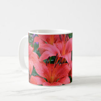 Taza De Café Daylily Cluster Floral