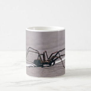Taza de café de araña