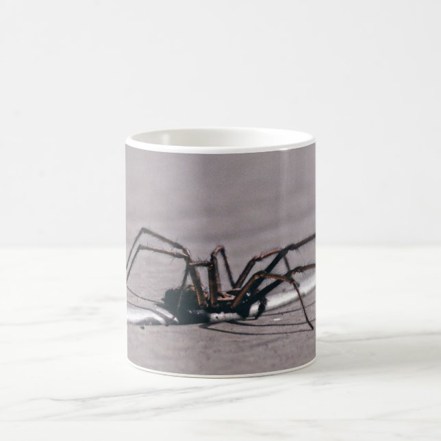 Taza de café de araña (Centro)