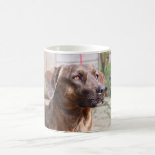 Taza de café de Brin del perro de Nowzad Rscue