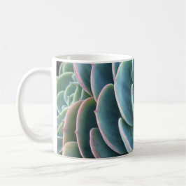 Taza de café de Echeveria