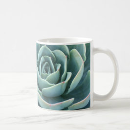Taza de café de Echeveria