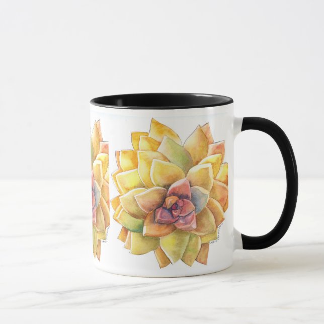 Taza de café de Graptopetalum (Derecha)