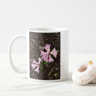 Taza de café de jacinto rosa