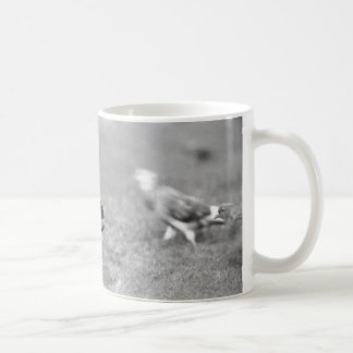 Taza de café de la ardilla