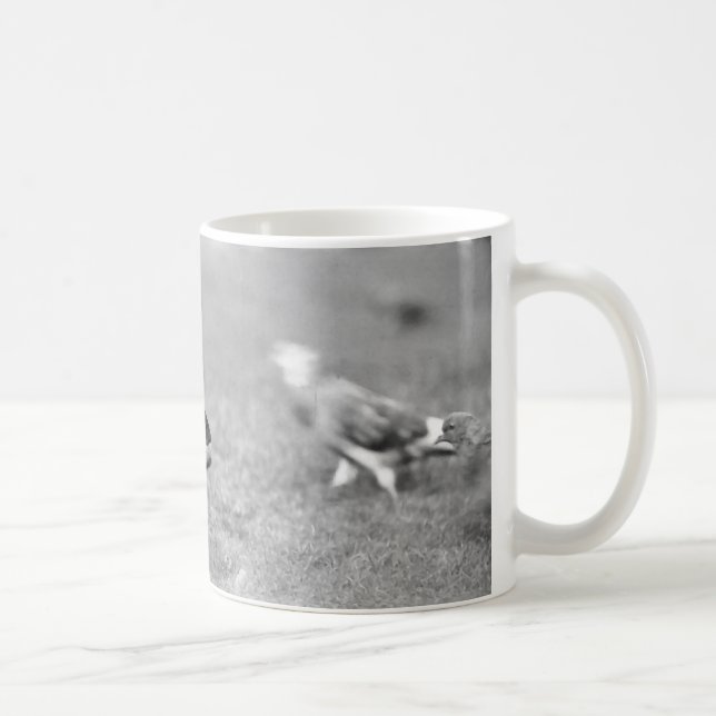 Taza de café de la ardilla (Derecha)