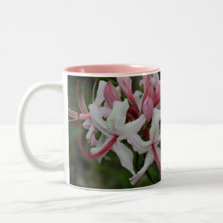 Taza de café de la azalea