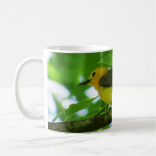 Taza de café de la curruca del protonotario