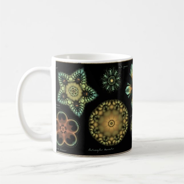 Taza de café de la diatomea de la "antigüedad" (Izquierda)