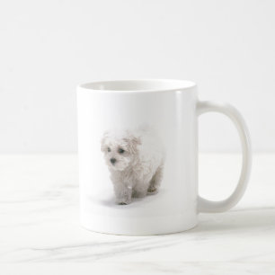 Taza de café de la foto de Bichon Frise
