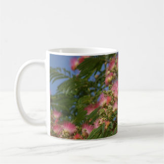 Taza de café de la foto del árbol del Mimosa