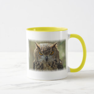 Taza de café de la foto del búho