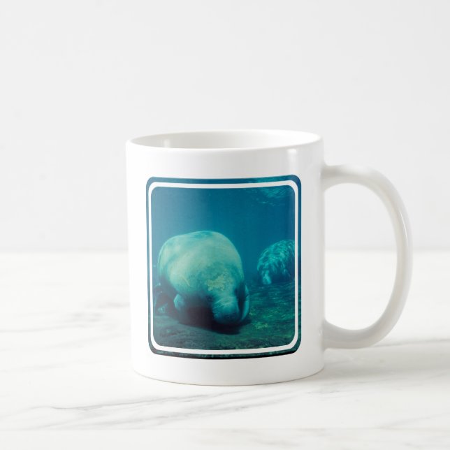 Taza de café de la foto del Manatee (Derecha)