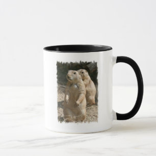 Taza de café de la foto del perro de las praderas