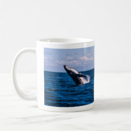 Taza de café de la infracción de la ballena