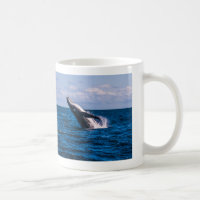 Taza de café de la infracción de la ballena