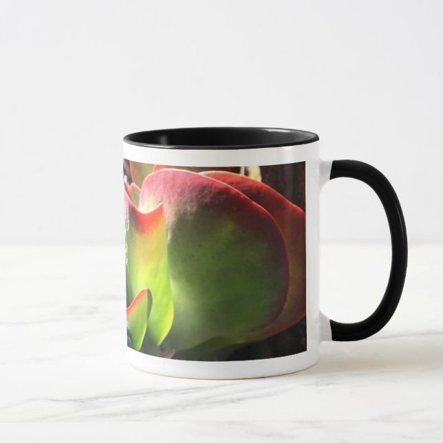 Taza de café de la planta de la paleta (Derecha)