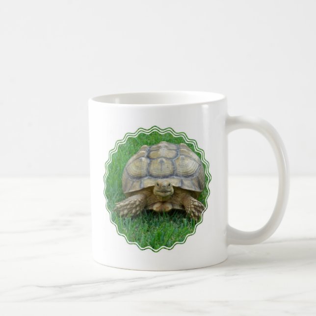 Taza de café de la tortuga (Derecha)