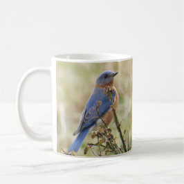 Taza de café de los Bluebirds