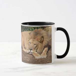 Taza de café de los gatos