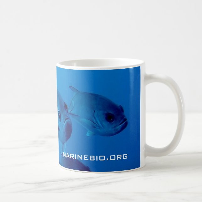 Taza de café de MarineBio (Derecha)
