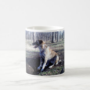 Taza de café de Nowzad Kujo