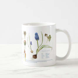 Taza De Café De nuestro jardín perenne.
