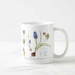 Taza De Café De nuestro jardín perenne.