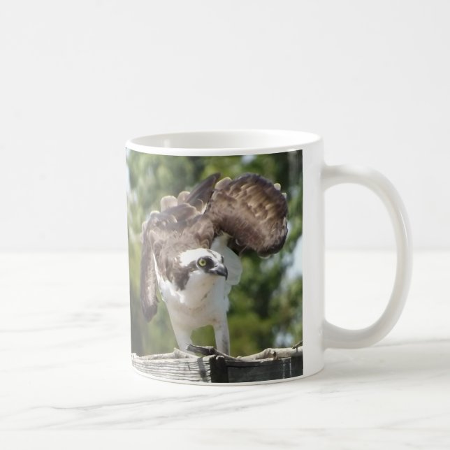 Taza de café de Osprey (Derecha)