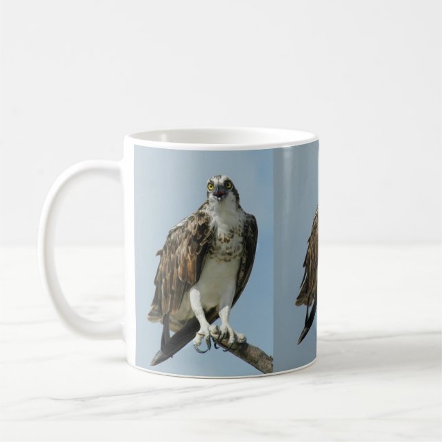 Taza de café de tres de Osprey imágenes del halcón (Izquierda)
