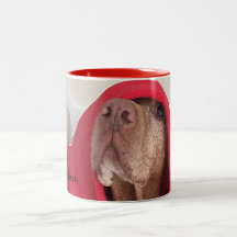 Taza de café de Vizsla