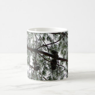 Taza De Café Debajo de la foto del invierno de un pino cubierto