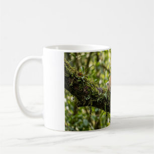 Taza de café del bebé panda rojo descansando en un