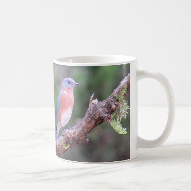 Taza de café del Bluebird (Derecha)