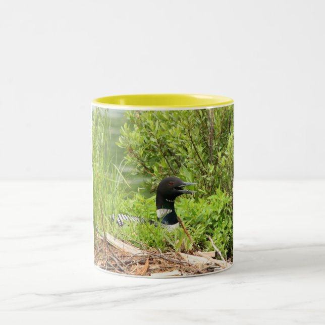 Taza de café del bribón de la jerarquización (Centro)