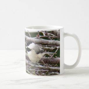 Taza de café del Chickadee