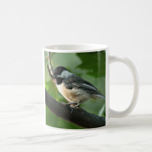 taza de café del chickadee