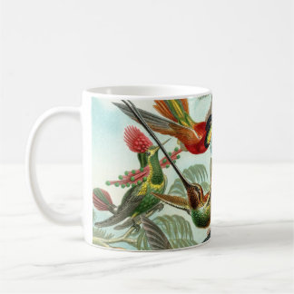 Taza de café del colibrí